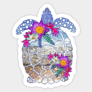 Sea Turtle Sticker